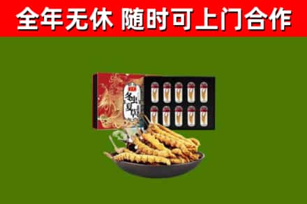 永春县烟酒回收冬虫夏草礼盒.jpg