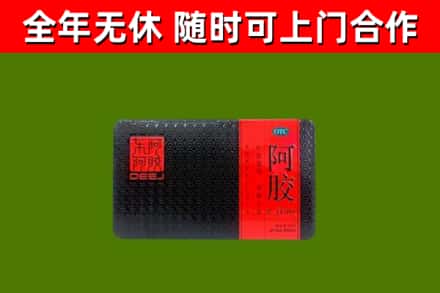 永春县回收阿胶