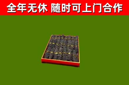 永春县回收海参